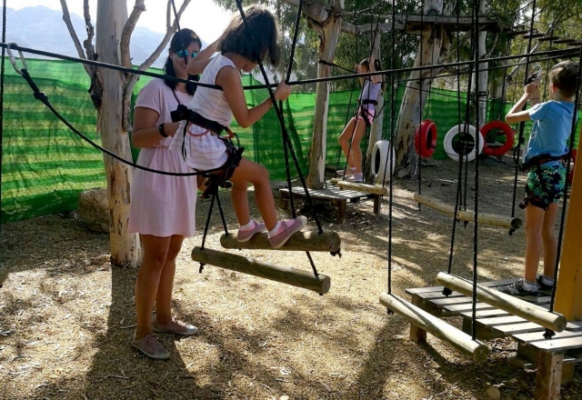  Giochi sugli alberi 