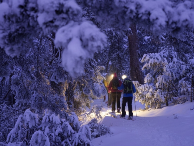 Ruta nocturna con raquetas