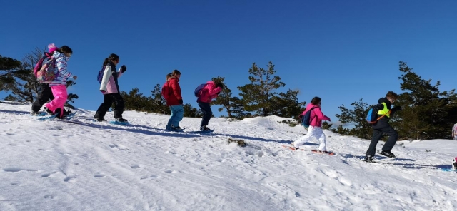  Cima della montagna innevata 