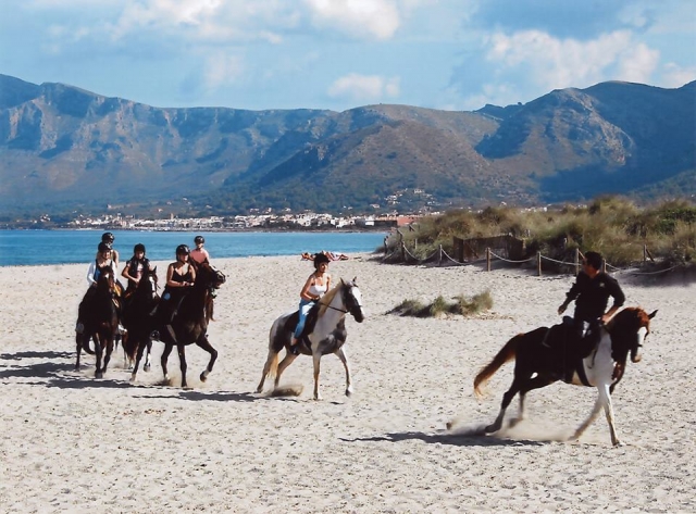  Randonnée hivernale avec des chevaux sur la plage 