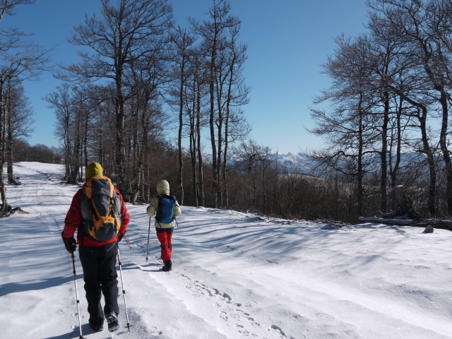 Stage d'alpinisme 