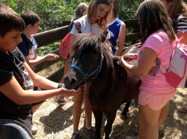 Con nuestro burro