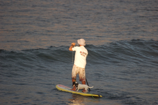 Paddle surf day 