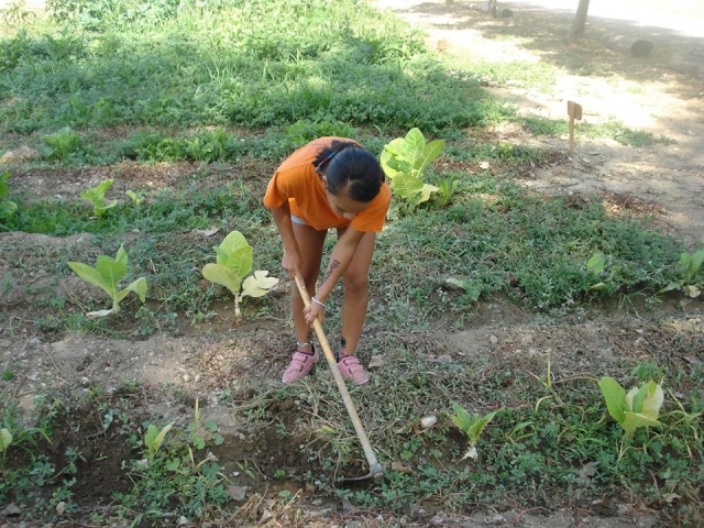  Working in the garden
