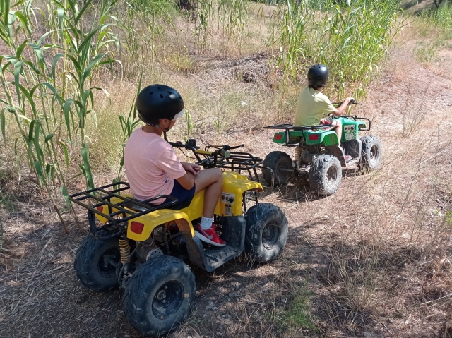 Disfruta de un pilotaje en quad por el Valle de Cofrentes