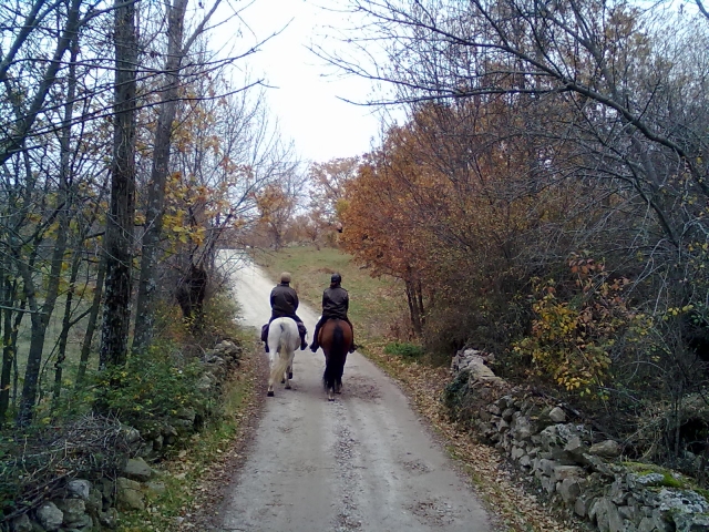 Recorrido a caballo