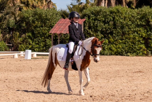 Bono de equitación en Murcia