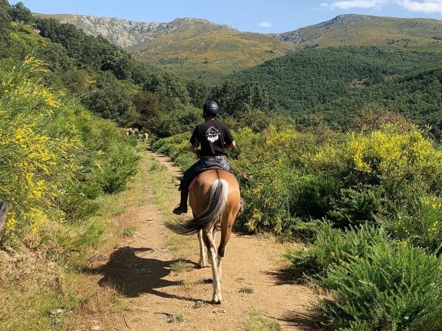  Reitroute 