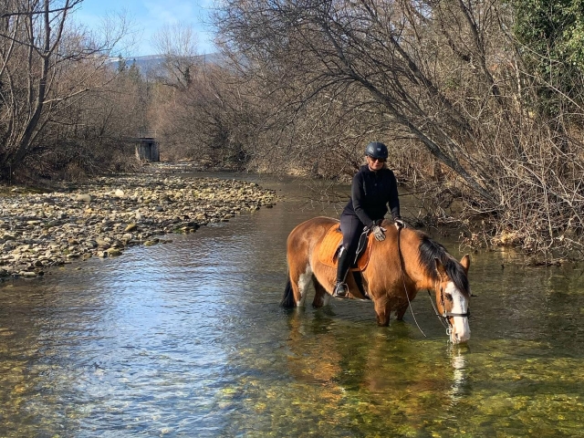 Reitroute durch Lozoya 