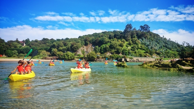  Kayak in the estuary 