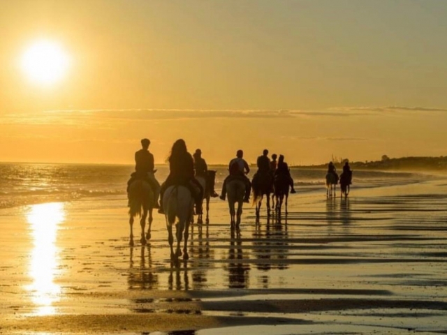 Cabalgamarra por playas Na Patana y Arenal, 2h