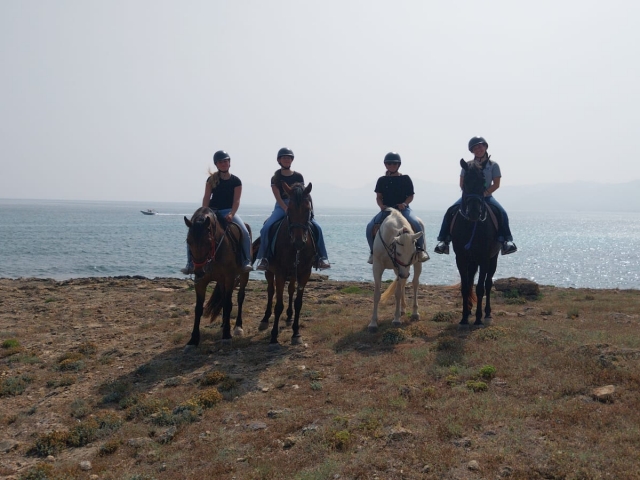  Rota de cavalos em Mallorca 