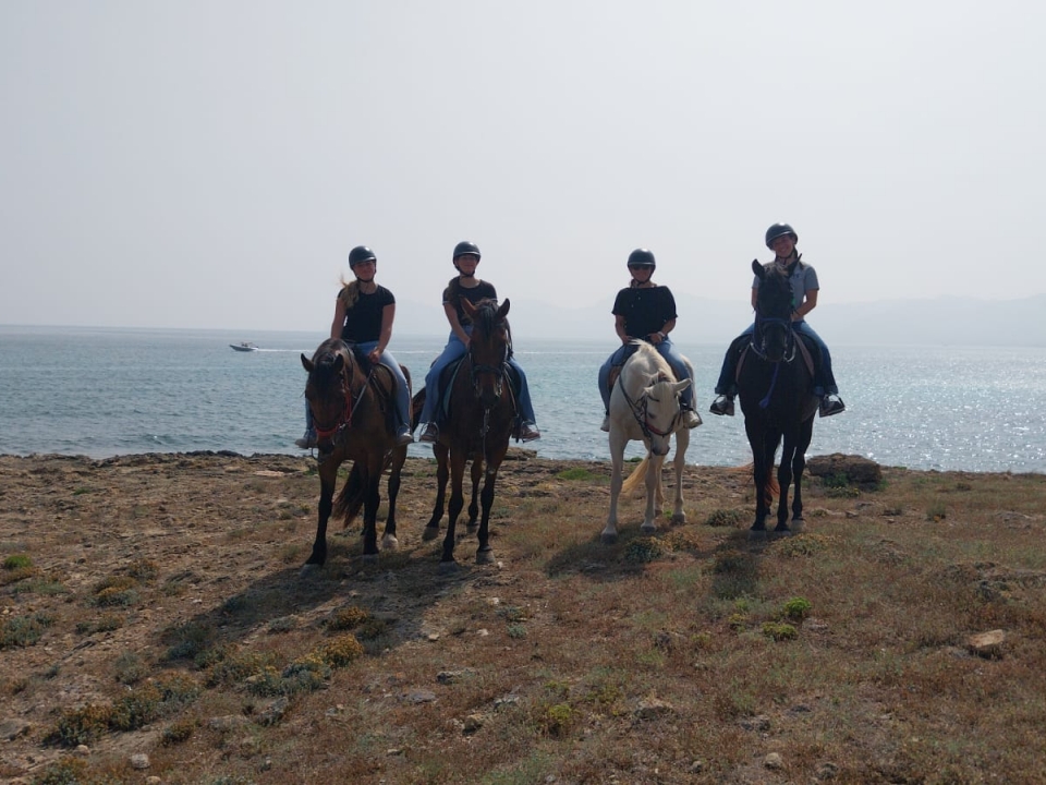 Cabalgamarra en Mallorca