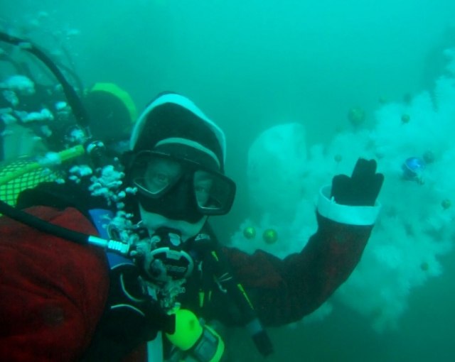 Buceo en Valelncia