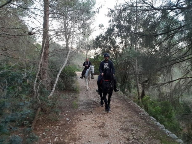 Excursión a caballo
