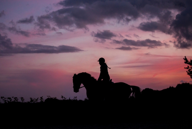 Cabalgamarra nocturna + cena en Selva, 6h