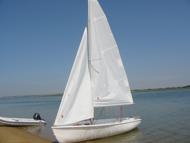 polyvalent 
