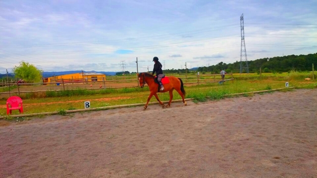  Pratiquer l'équitation sur la piste extérieure sablonneuse 