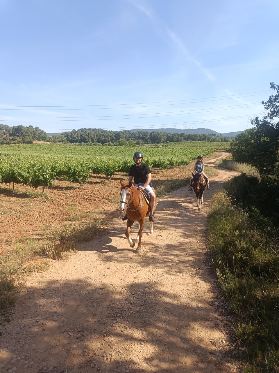 Rota de passeios a cavalo em Poblet 