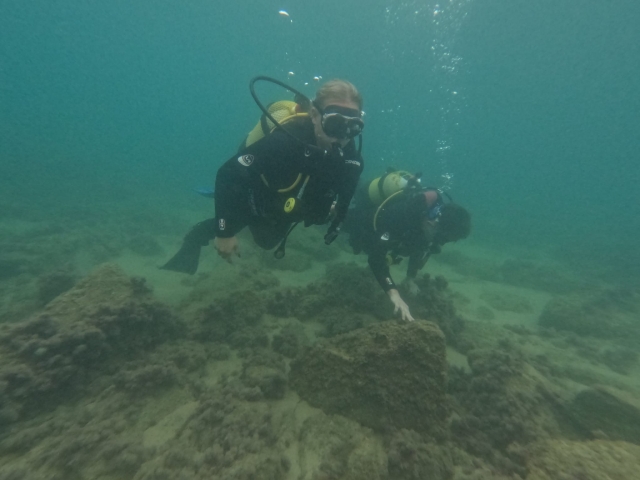  Tauchen in Lloret de Mar 