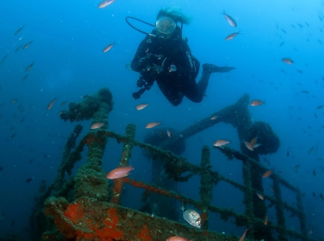  Au fond de la mer 