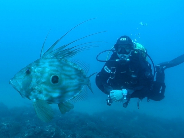 享受布拉瓦海岸的深处