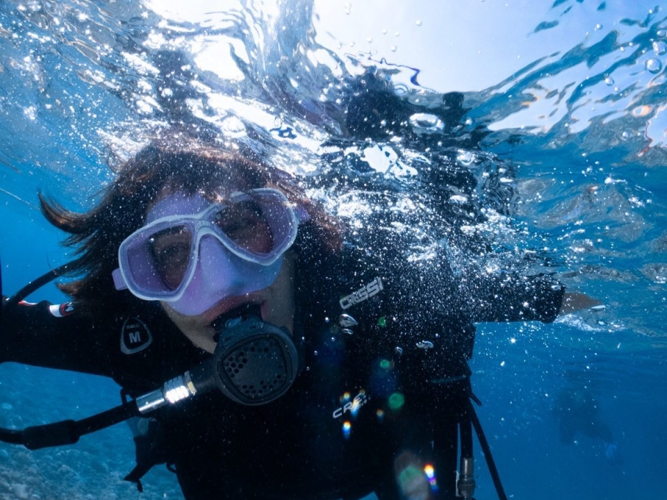 到达海底  到达海底