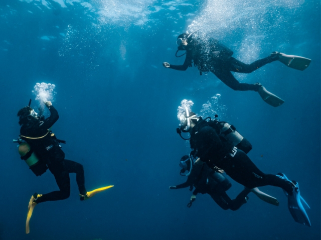  Diver near the seabed 