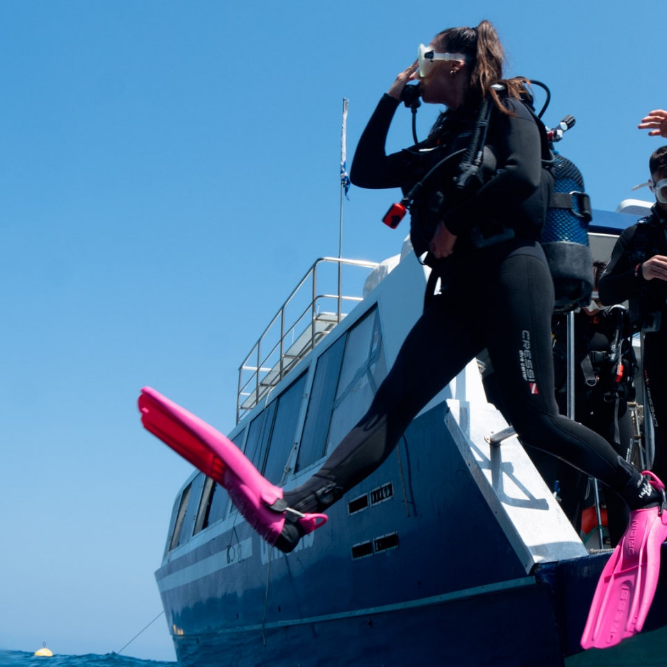 Group of divers ready for immersion 