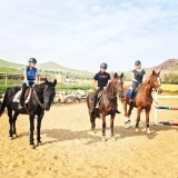 Cours d'équitation : bon 8 cours