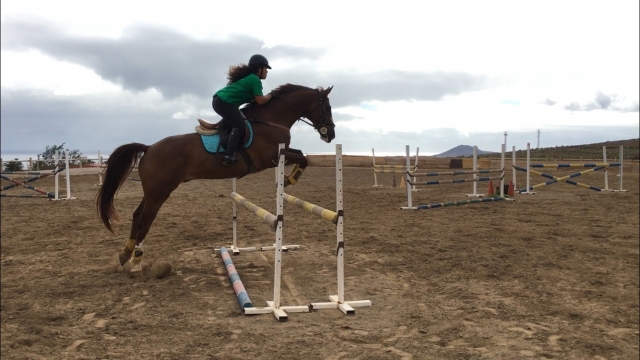 Salto de obstaculos