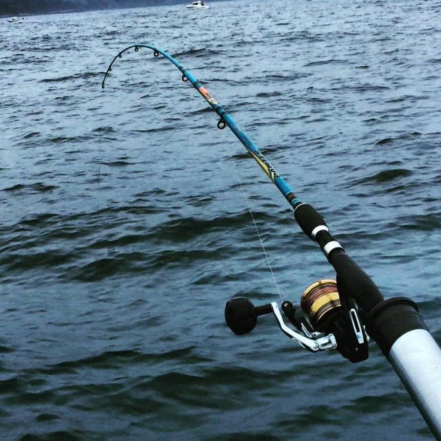 Canne à pêche 