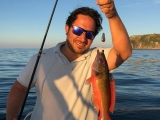 Pesca para llevar a barco parado Puerto Luarca 3h