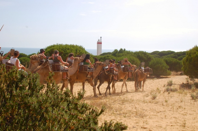 Camel route 