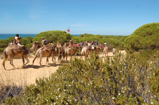  Enjoying a camel ride 
