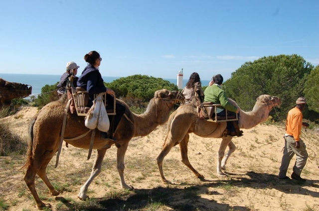  Giro in cammello a Huelva per bambini