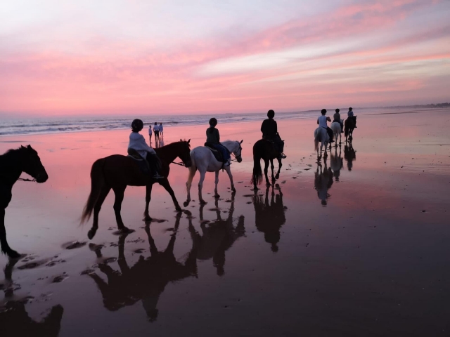 Bellissimo tramonto a cavallo 