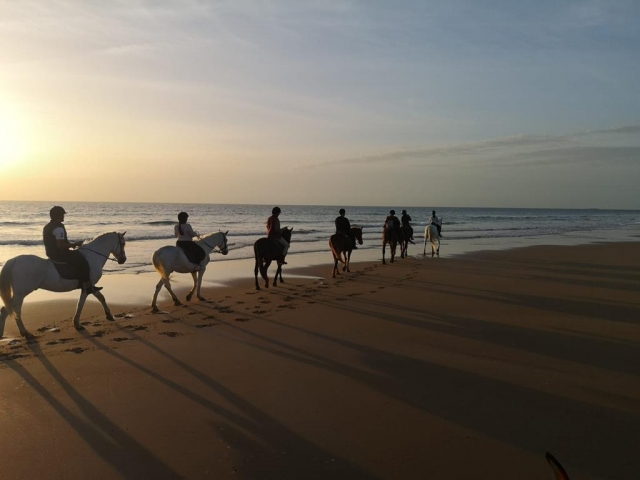  Passeggiata sulla spiaggia a cavallo