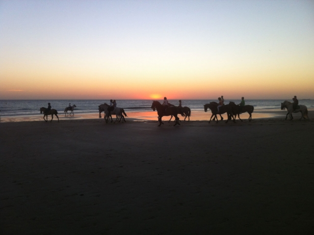 Passeggiata a cavallo sulla spiaggia 