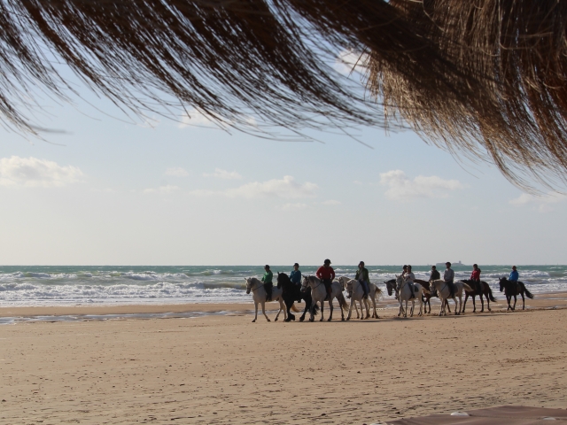  Passeggiata a cavallo sulla spiaggia 