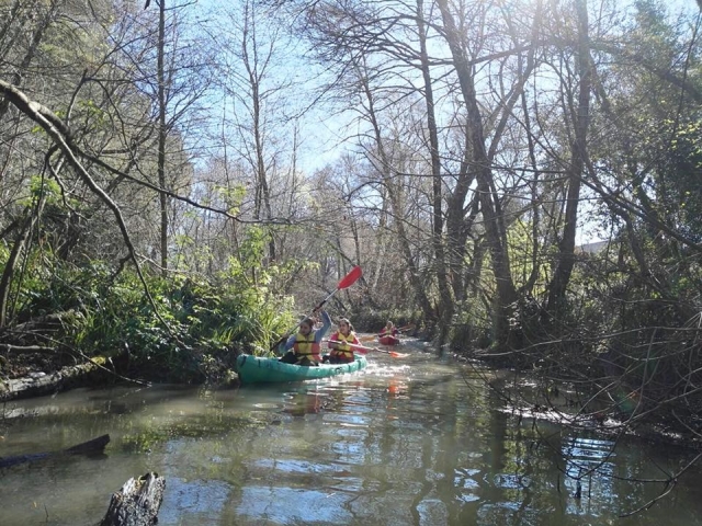  traversant le paysage naturel 