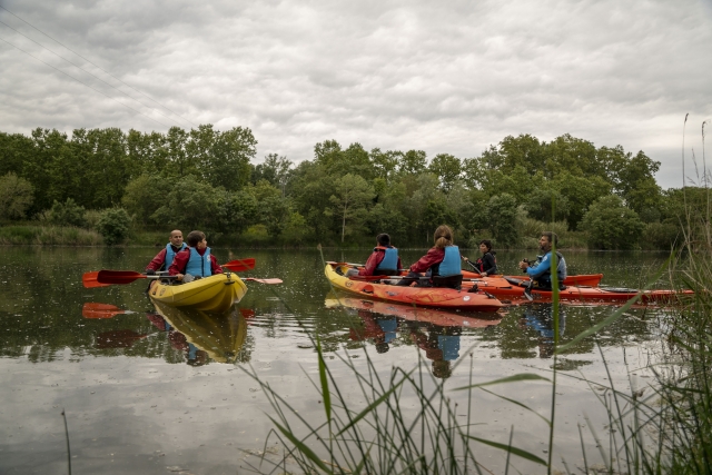  Kayak in the Aiguamolls 