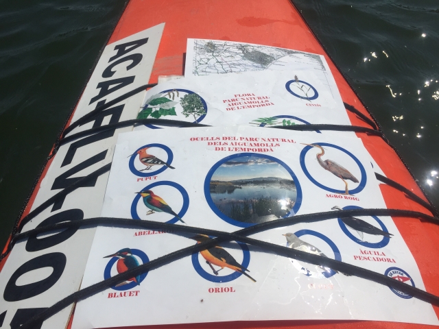 Ornithokayak preparado para la ruta