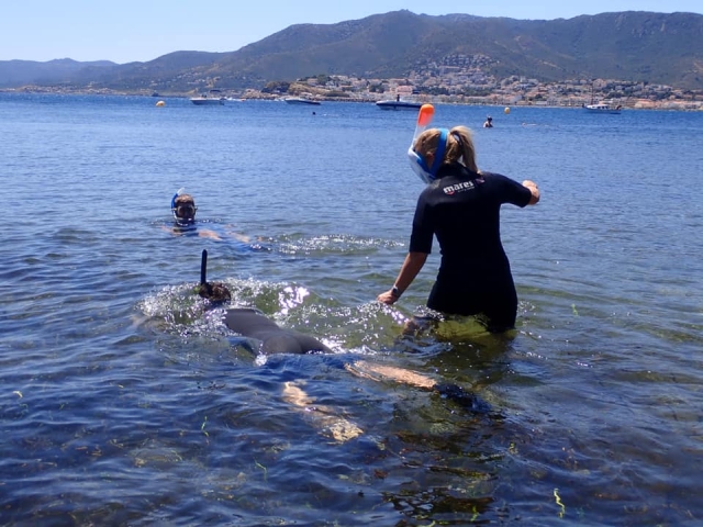 Snorkel en la Costa Brava