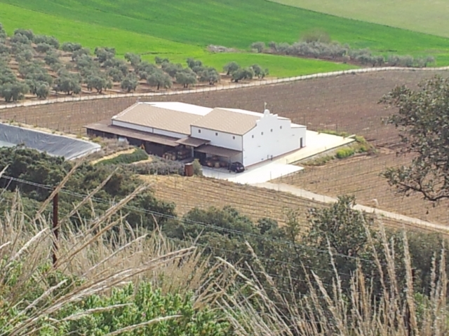  The Ronda Wineries 