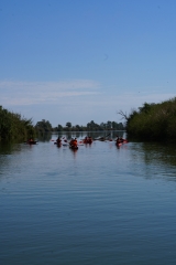 Itinerario in kayak attraverso l'Illa de Gràcia bambini 2h