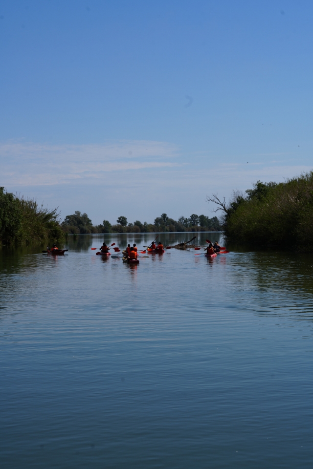  Kayak along the Ebro 
