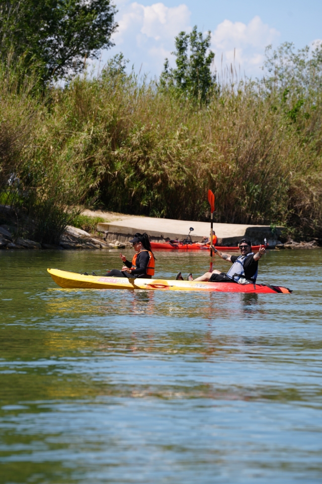  Discover the mouth of the Ebro by kayak 