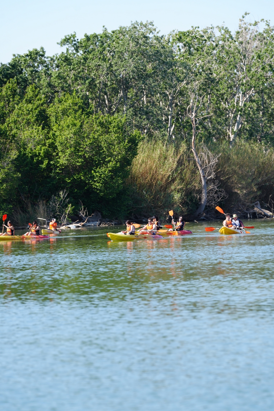 Enjoy the views of the Island of Gracia by Kayak 