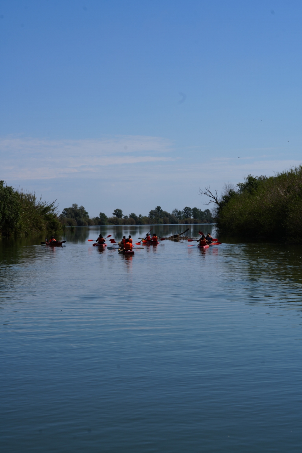  Kayak along the Ebro 
